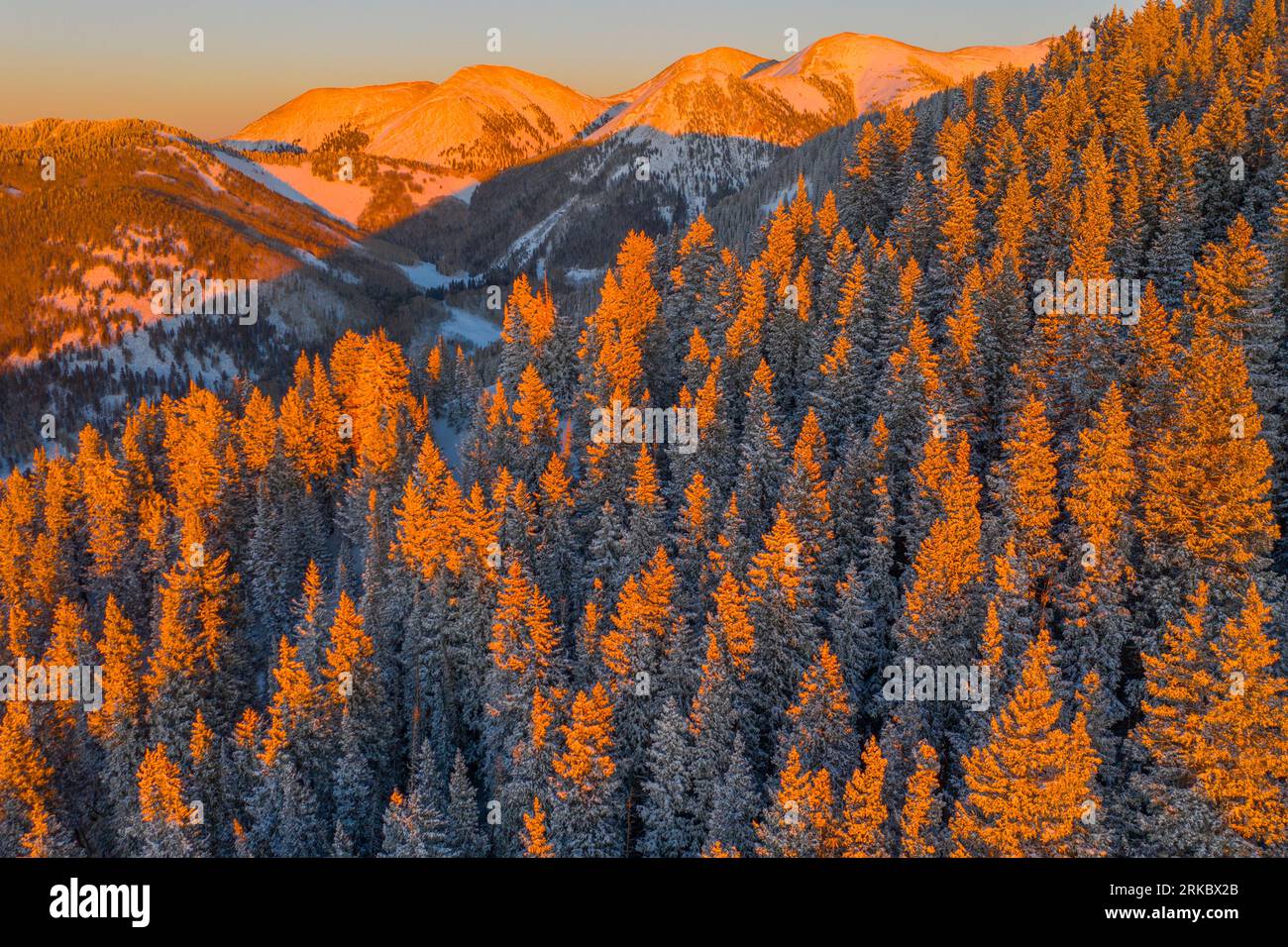 Frosted trees and peaks, Manti-La Sal National Forest, Utah, Colorado River Canyons near Moab, Manti-La Sal National Forest, Utah, Colorado River Cany Stock Photo