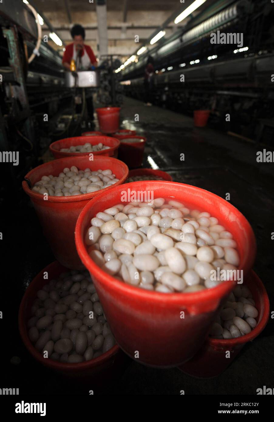 Bildnummer: 54636867  Datum: 13.11.2010  Copyright: imago/Xinhua (101113) -- HANGZHOU, Nov. 13, 2010 (Xinhua) -- Cocoons wait to be sent for reeling in Huzhou, east China s Zhejiang Province, Nov. 12, 2010. China, the birthplace of silk, is the world s biggest silk producer. But as American and European consumers are saving more due to the credit crunch and the following debt crisis, demands for commodities like silk are falling sharply. Without enough orders, China s silk industry, which sees profits shrinking dramatically, is now stepping into a winter of trade crisis. Rising costs and stron Stock Photo