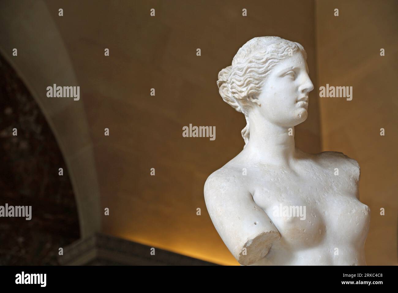 Venus de Milo in profile - The Louvre Museum, Paris, France Stock Photo