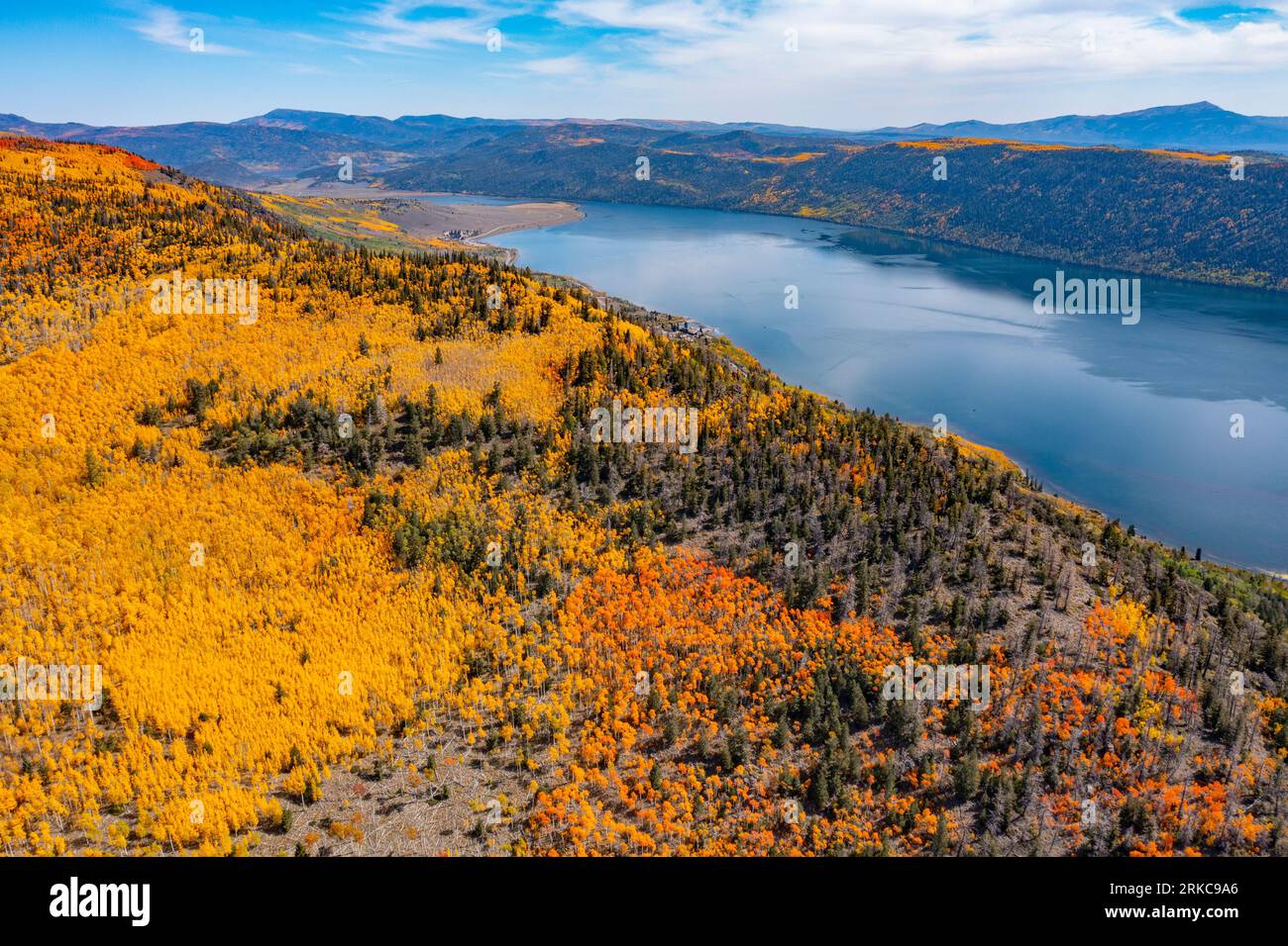 Aspen groves near Fishlake, Fishlake National Forest, Utah Stock Photo