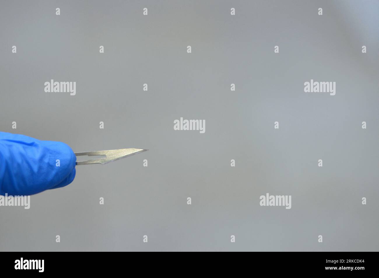 A disposable scalpel, lancet or bistoury, a small and extremely sharp bladed instrument used for