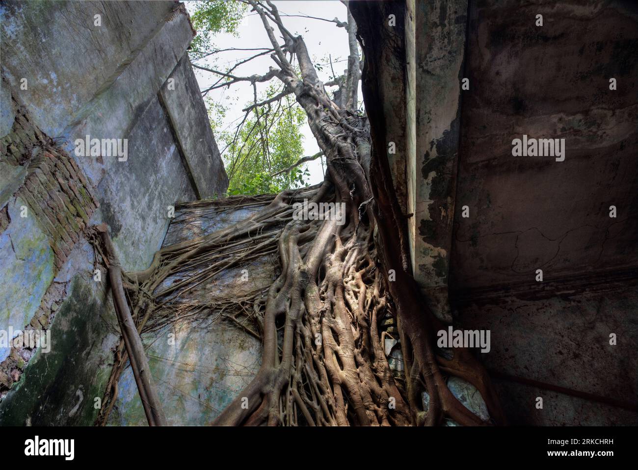 scene of the architectural structure of the deserted colonial building ...