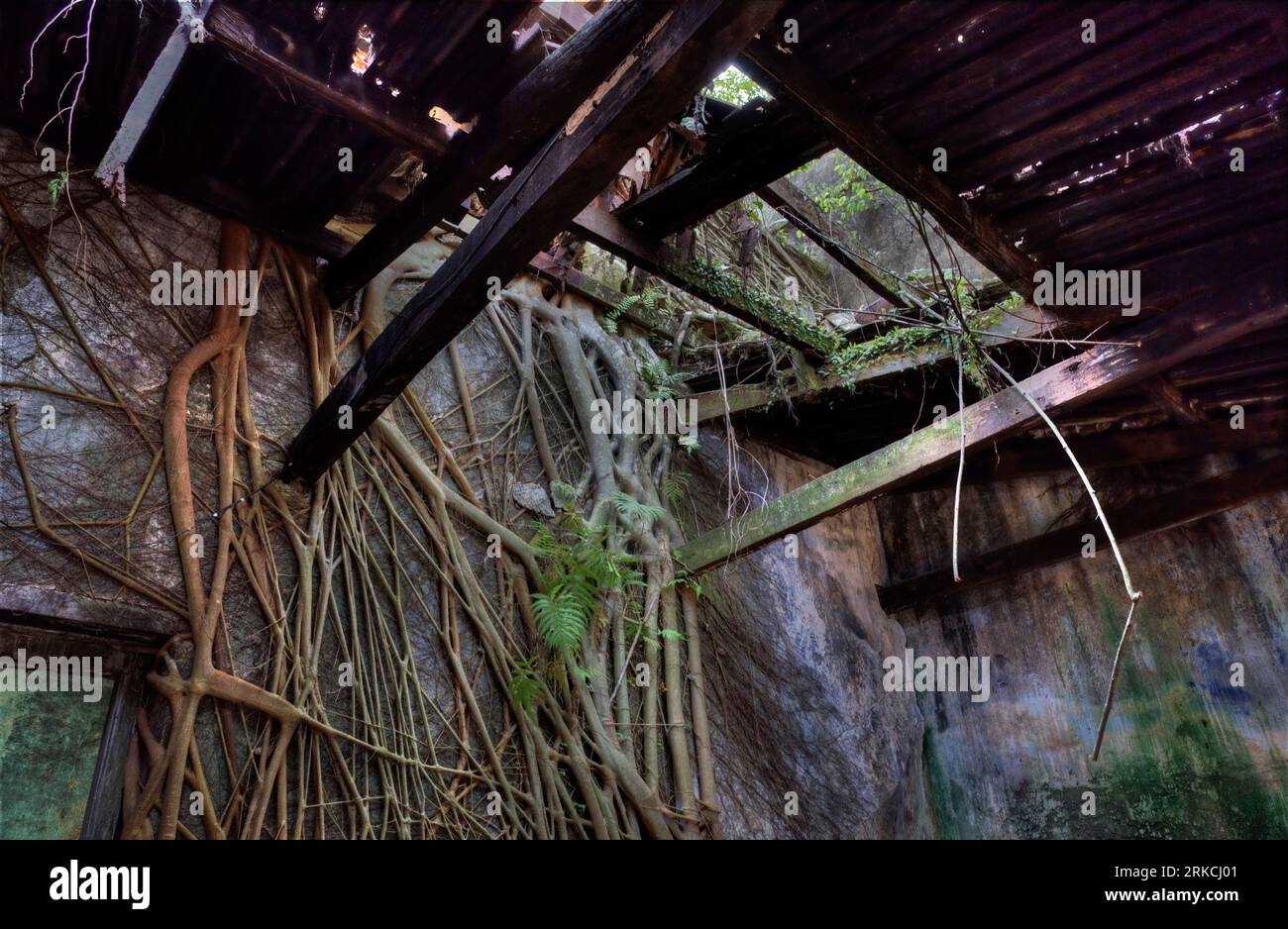scene of the architectural structure of the deserted colonial building ...