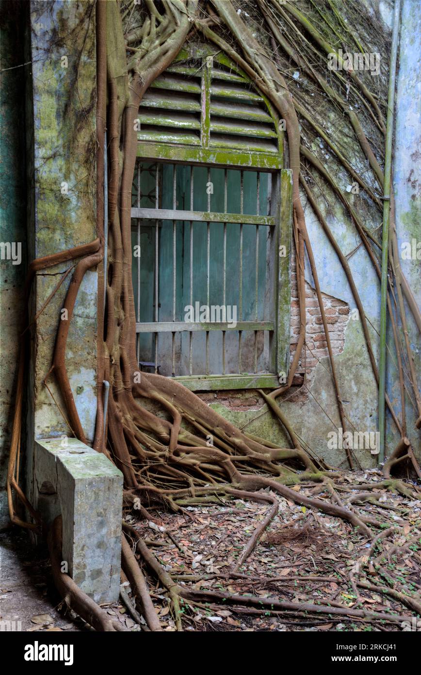 scene of the architectural structure of the deserted colonial building ...