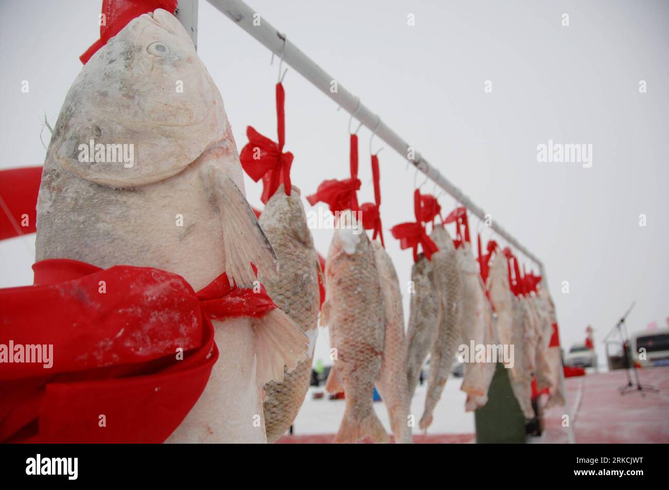 Russia fish frozen hi-res stock photography and images - Page 7 - Alamy