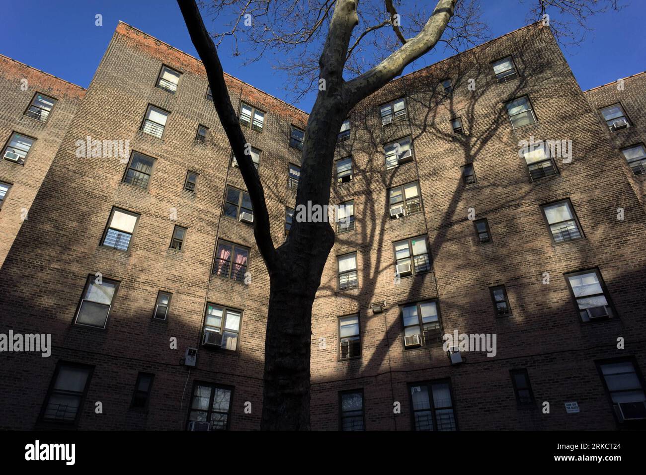 Nycha public housing hires stock photography and images Alamy