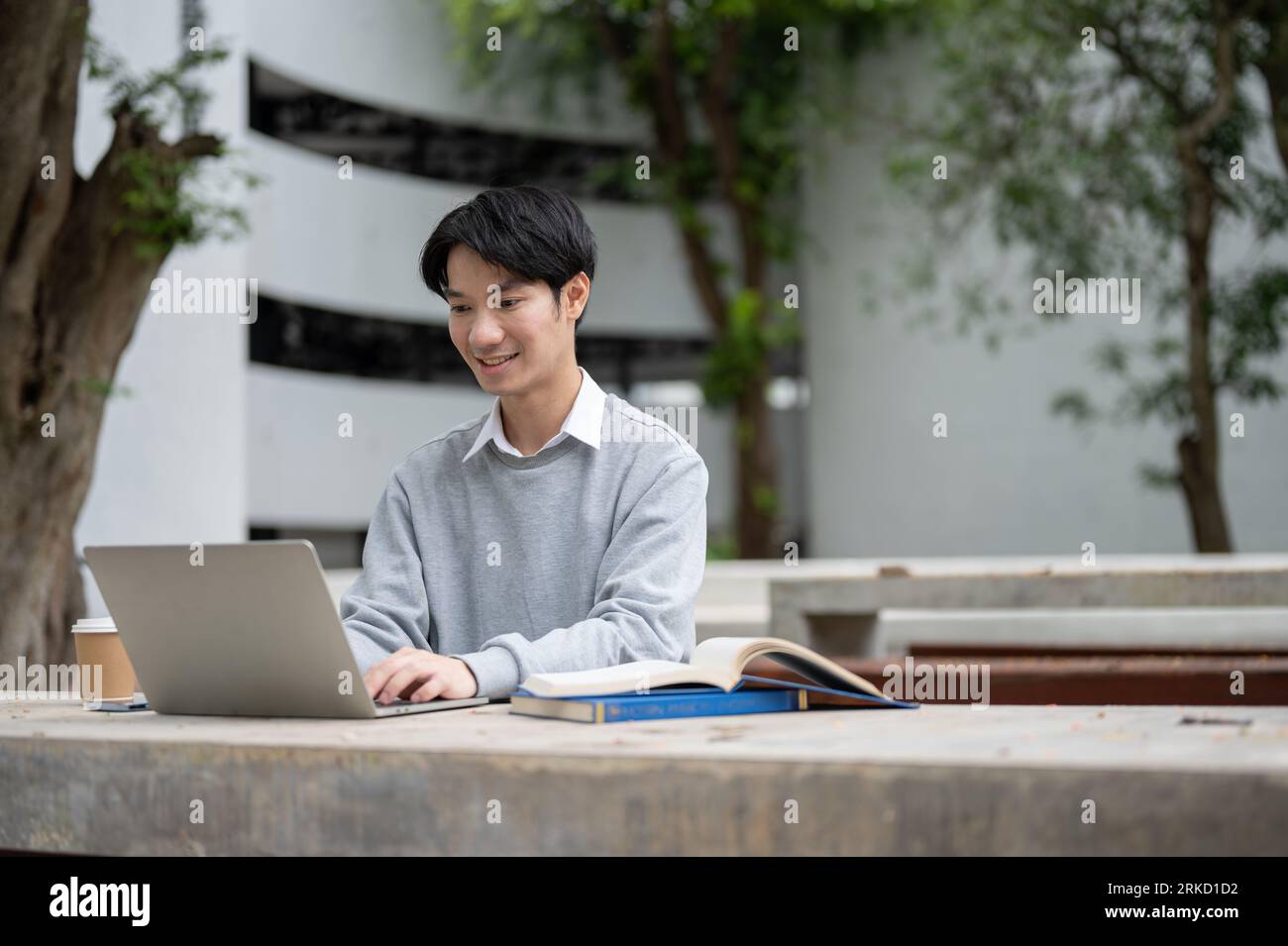 A smart and handsome young Asian male college student is working ...