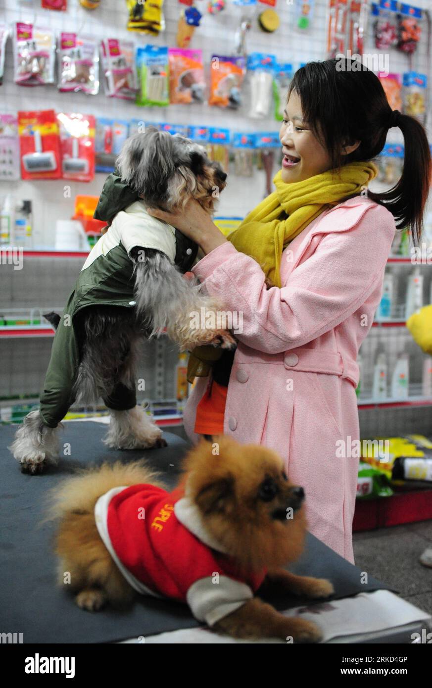 Bildnummer: 54861148 Datum: 28.01.2011 Copyright: imago/Xinhua QIONGHAI,  Jan. 28, 2011 (Xinhua) -- A staff member of a pet shop takes care of the  entrusted dogs in Qionghai, south China s Hainan Province,