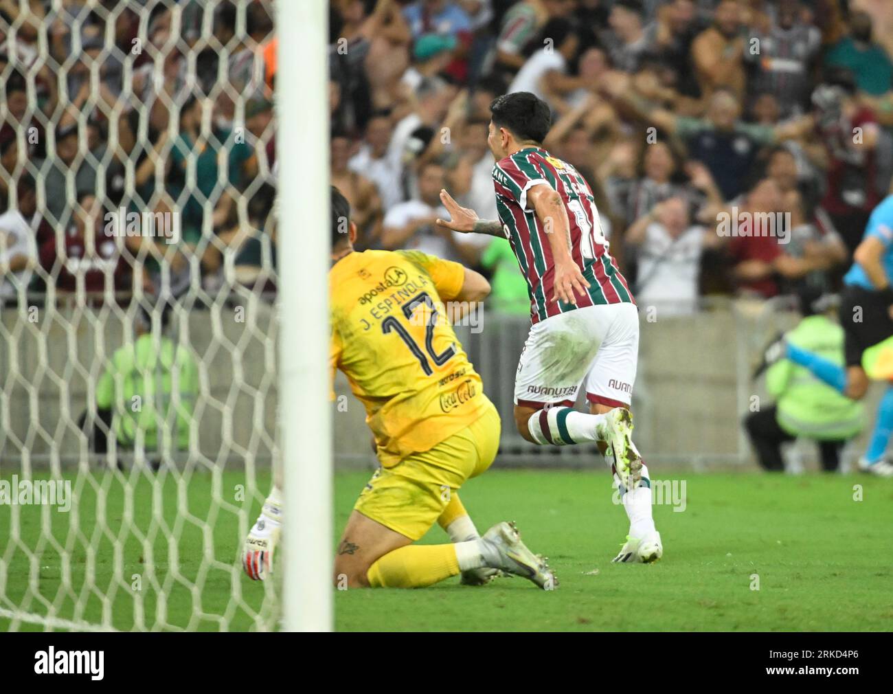 Fluminense win first Copa Libertadores title-Xinhua