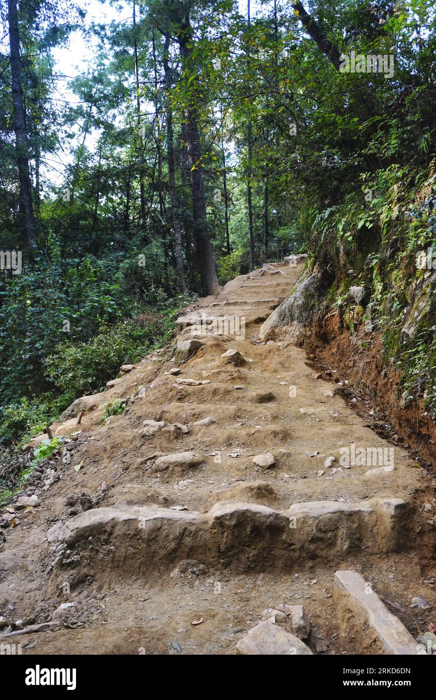 Rugged rocky trail curves up the mountain through the forest on the way to the famous Tiger's Nest Monastery (Taktsang) in the Kingdom of Bhutan Stock Photo