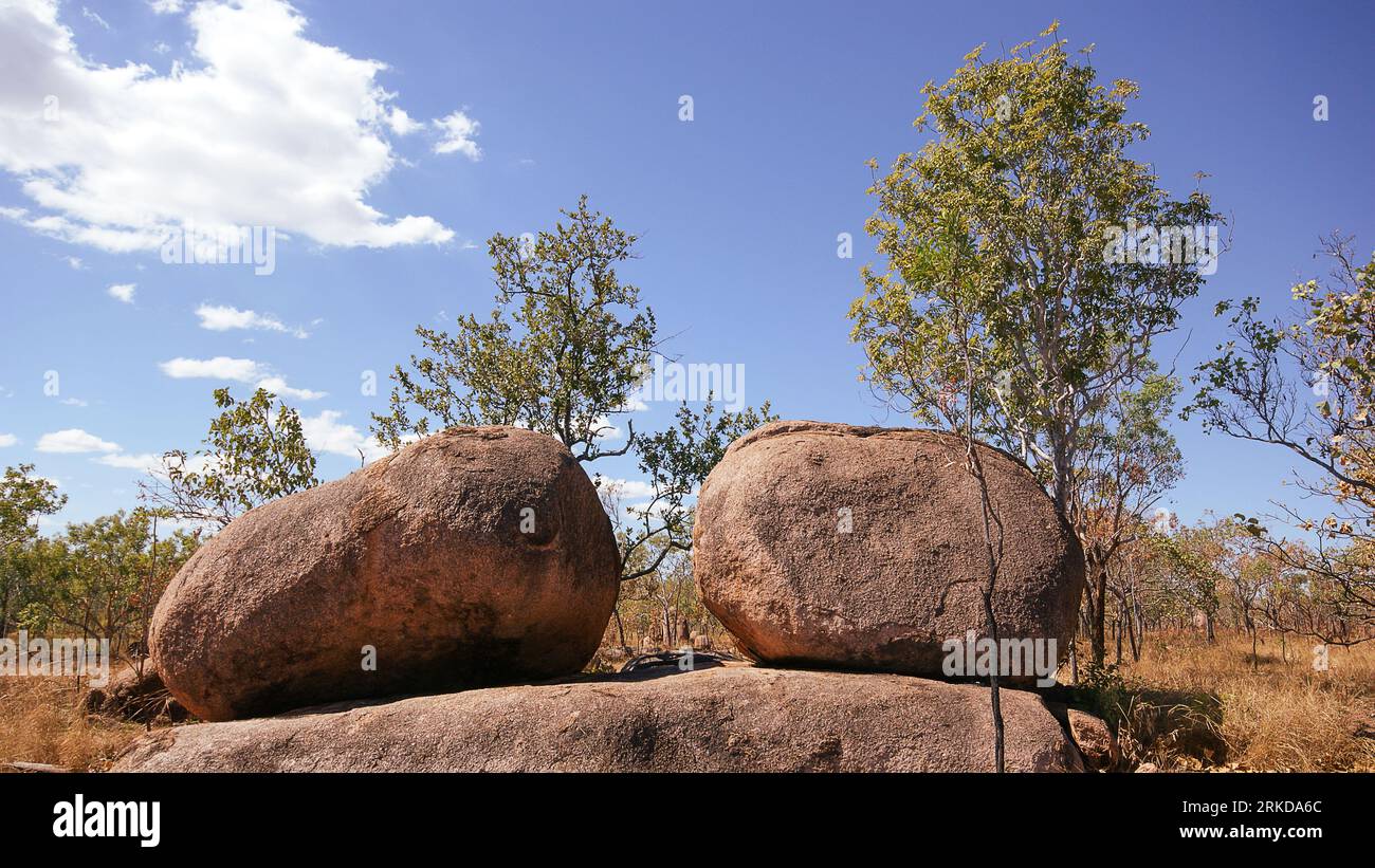 Rock marbles and eucalyptus trees, Northern Territory, Australia Stock Photo