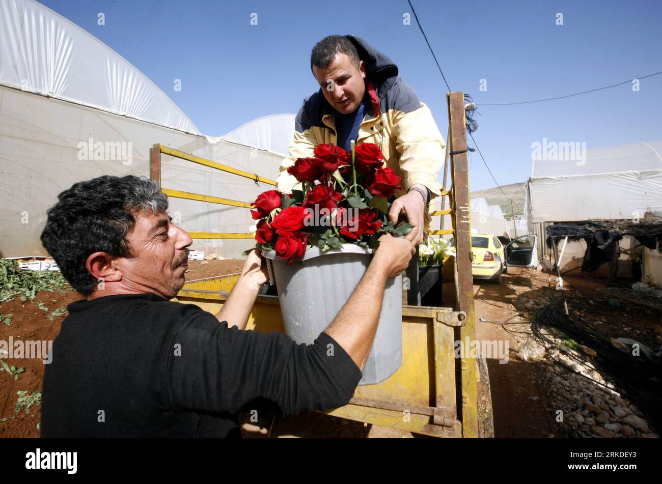 Qiziqarli porno rasmlar