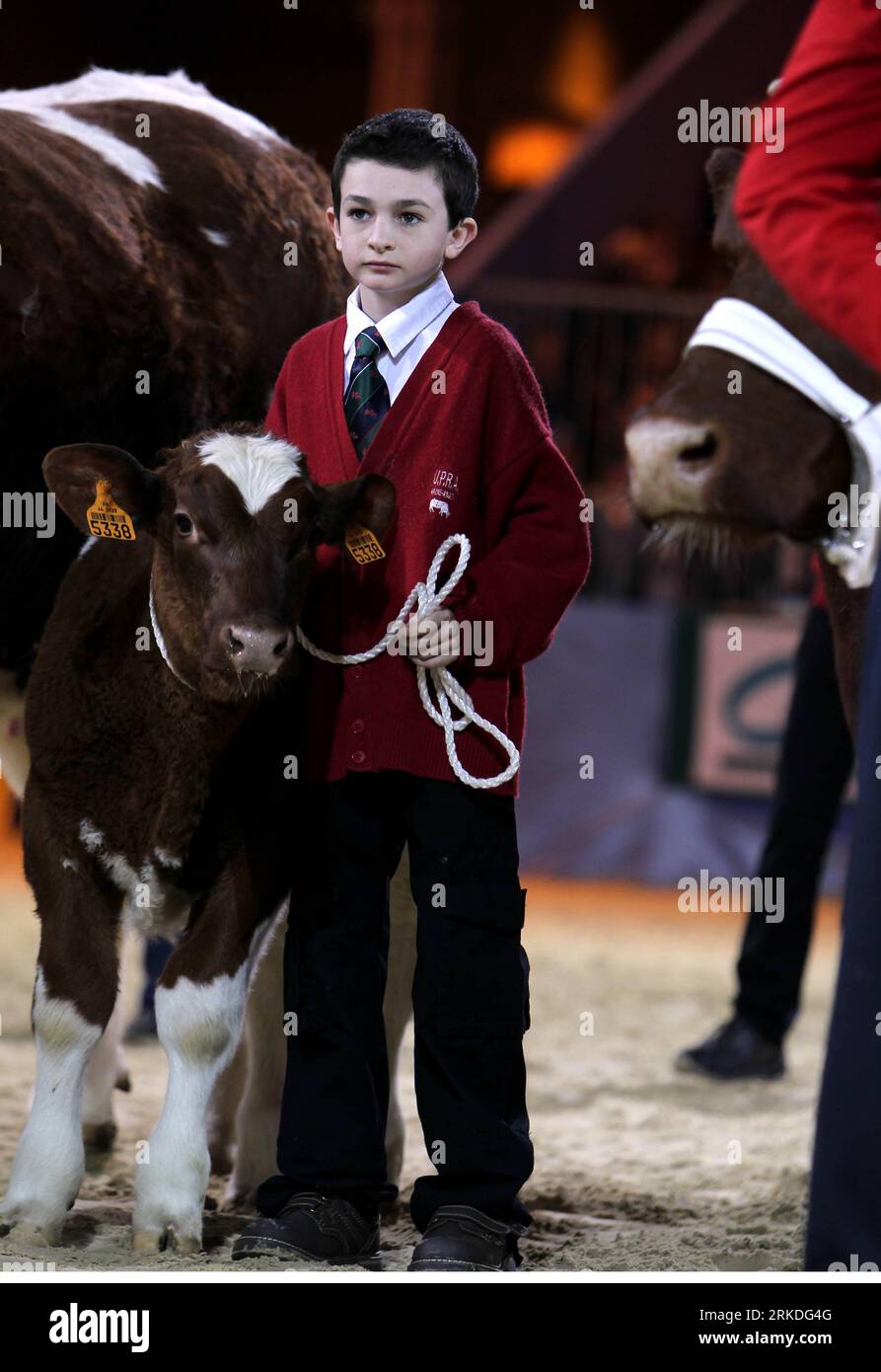 Bildnummer: 54944797  Datum: 22.02.2011  Copyright: imago/Xinhua (110223) -- PARIS, Feb. 23, 2011 (Xinhua) -- A boy presents his cow during a cow beauty contest at the 48th Paris International Agricultural Fair, at the Porte de Versailles exhibition center in Paris, France, Feb. 22, 2011. The annual fair, opened on Feb. 19, will run till Feb. 27. (Xinhua/Gao Jing)(lyi) FRANCE-PARIS-AGRICULTURE FAIR PUBLICATIONxNOTxINxCHN Wirtschaft Landwirtschaft Messe Landwirtschaftsmesse kbdig xcb 2011 hoch  o0 Kuh, Tiere, Kind, Junge    Bildnummer 54944797 Date 22 02 2011 Copyright Imago XINHUA  Paris Feb 2 Stock Photo