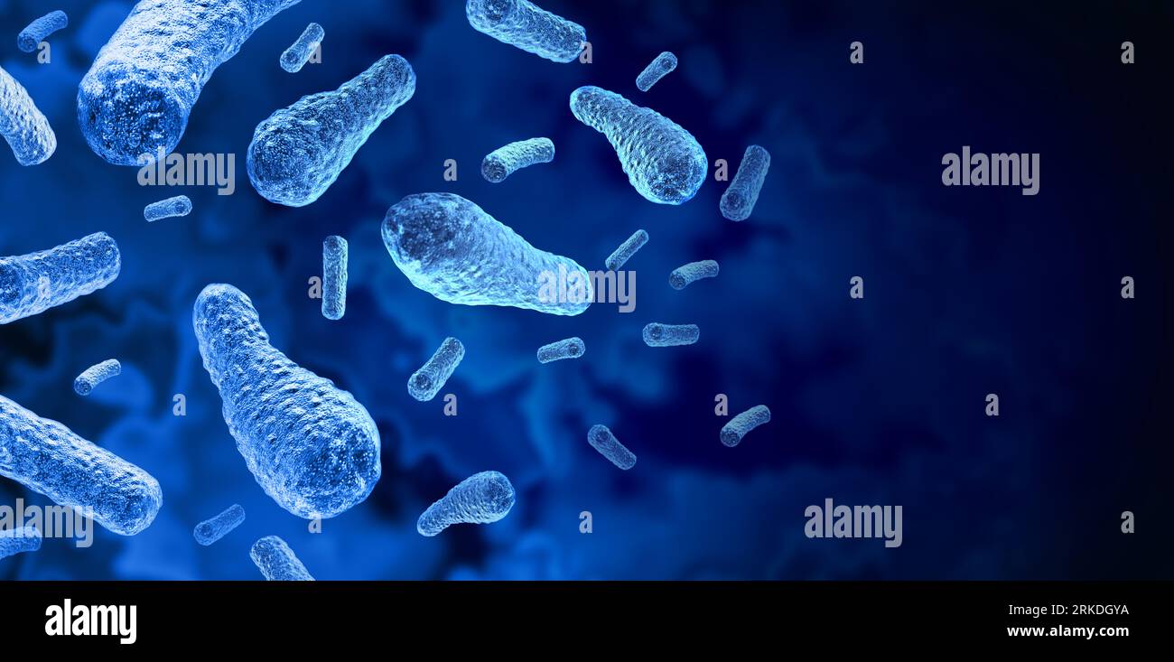 Botulism Bacteria as a severe illness caused by Clostridium botulinum bacteria producing paralytic toxins that lead to muscle weakness and paralysis Stock Photo