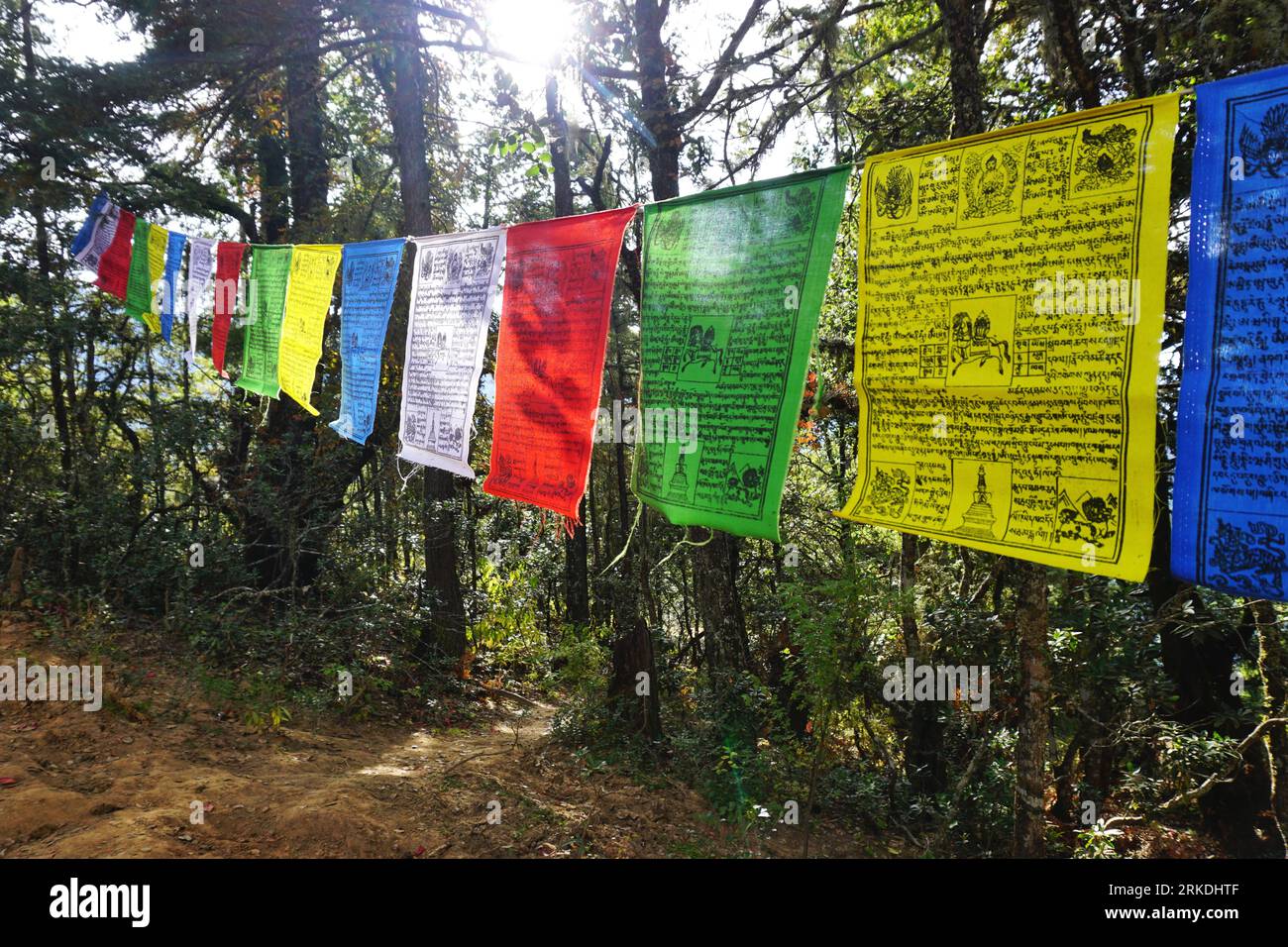 Colorful string of printed cloth prayer flags hanging in the trees along the forest trail to the Tiger's Nest Monastery (Taktsang) in Paro, Bhutan Stock Photo