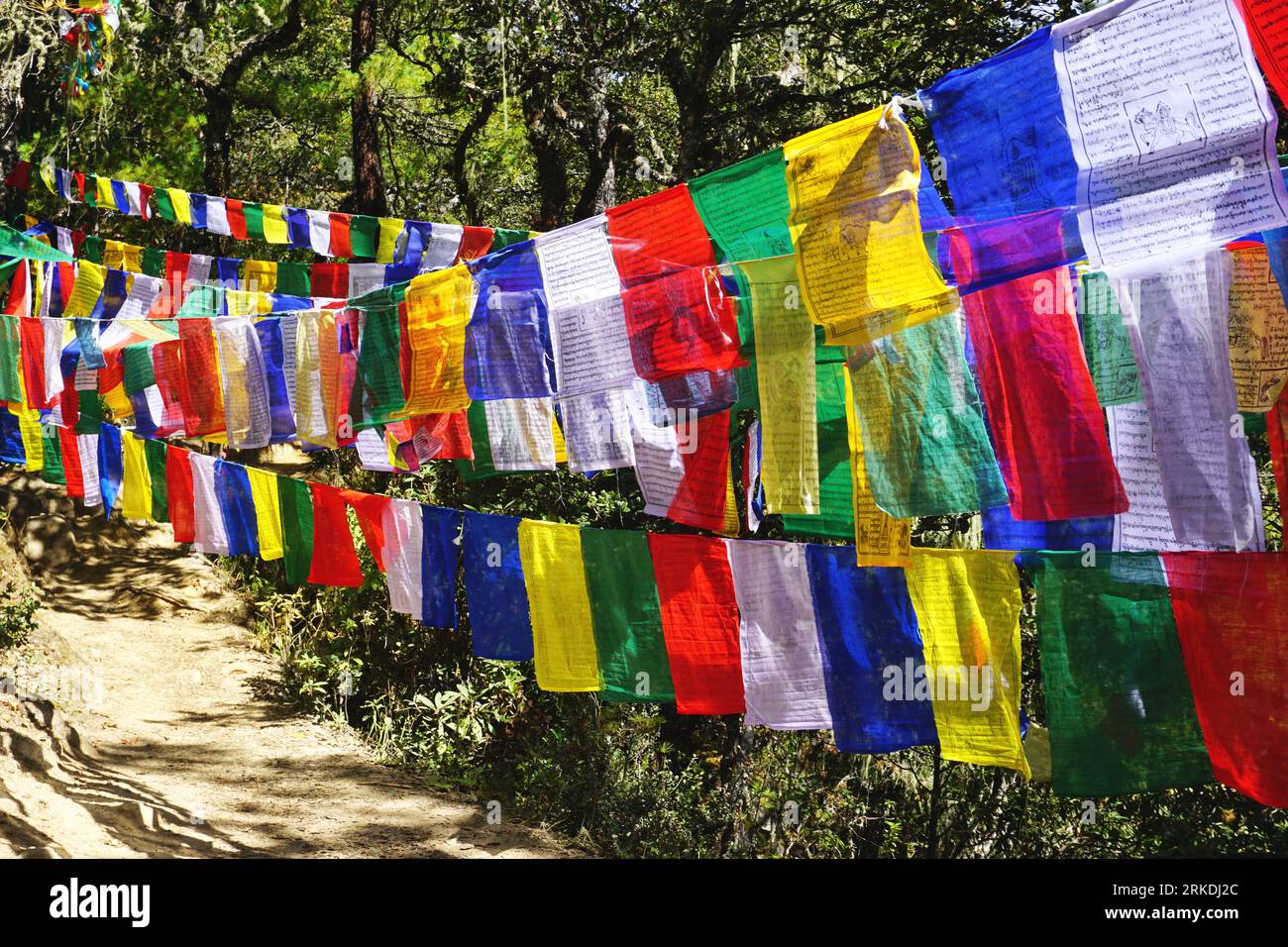 A curtain of colorful prayer flags hangs among the trees along the trail to the Tiger's Nest Monastery in rural Bhutan on a sunny fall morning Stock Photo