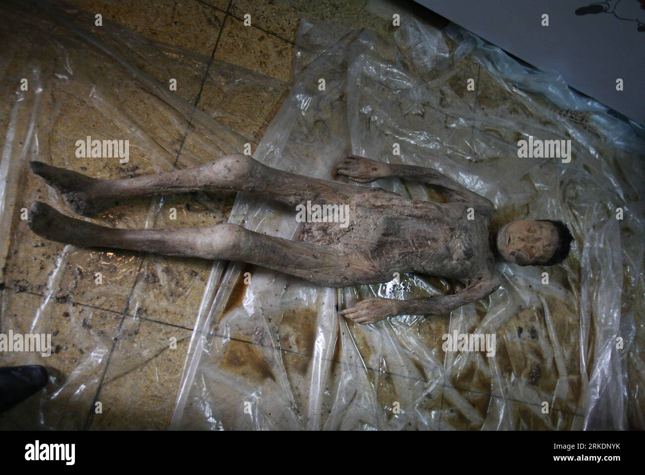 Bildnummer: 54980678  Datum: 03.03.2011  Copyright: imago/Xinhua (110304) -- TAIZHOU, March 4, 2011 (Xinhua) -- Photo taken on March 3, 2011 shows an unrotten female corpse of the Ming dynasty (1368-1644) unearthed in Taizhou of east China s Jiangsu Province. The well-preserved female corpse was found on March 1 in one of the three Ming dyansty coffins excavated in Taizhou on Feb. 28. The 1.5 meter-long stiff corpse, tightly wrapped in cerecloth, quilt and clothes, has complete skin and clearly recognizable facial features, hair and even eyelashes. After more cleanup work on Thursday, staff me Stock Photo