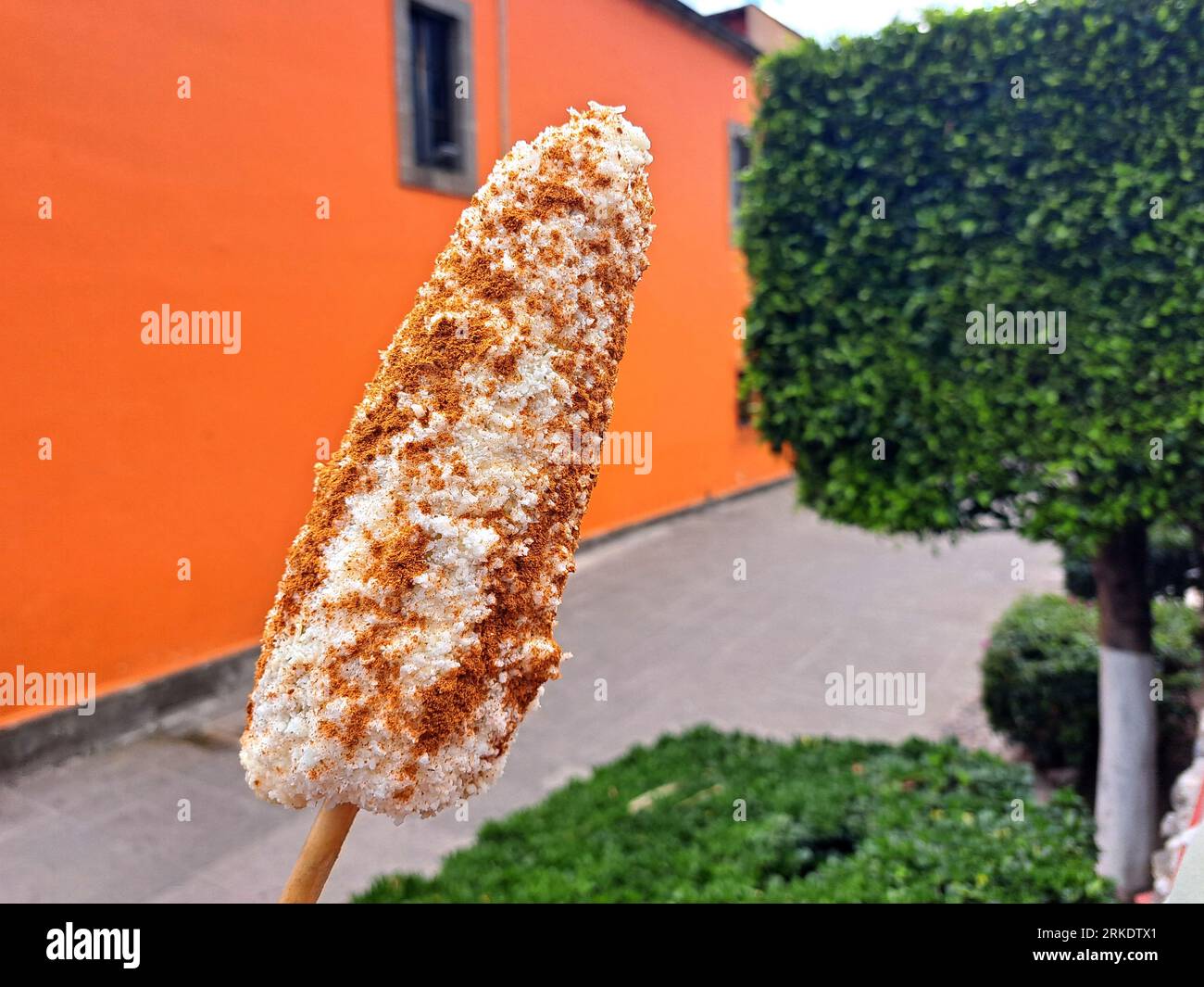 Corn cob and Mexican Elote is grilled corn on the cob slathered in a