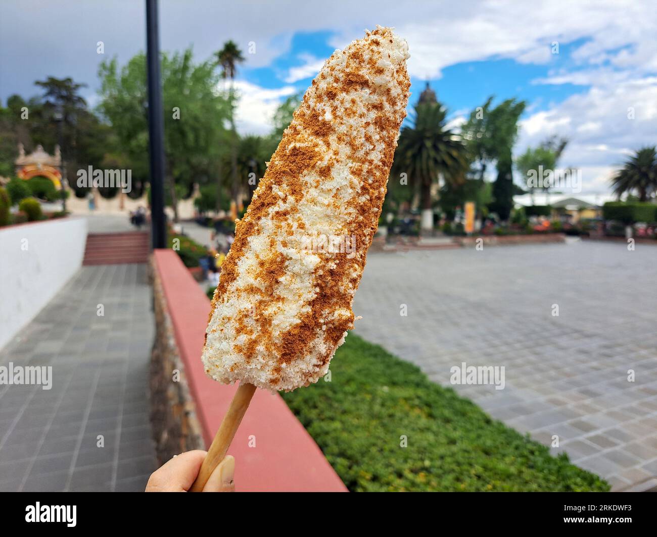 Corn cob and Mexican Elote is grilled corn on the cob slathered in a