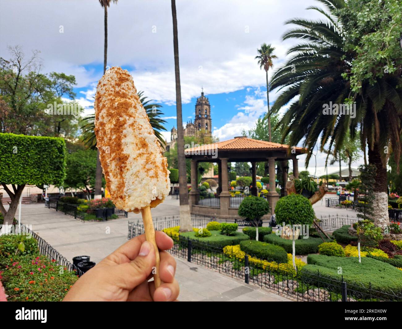 Corn cob and Mexican Elote is grilled corn on the cob slathered in a