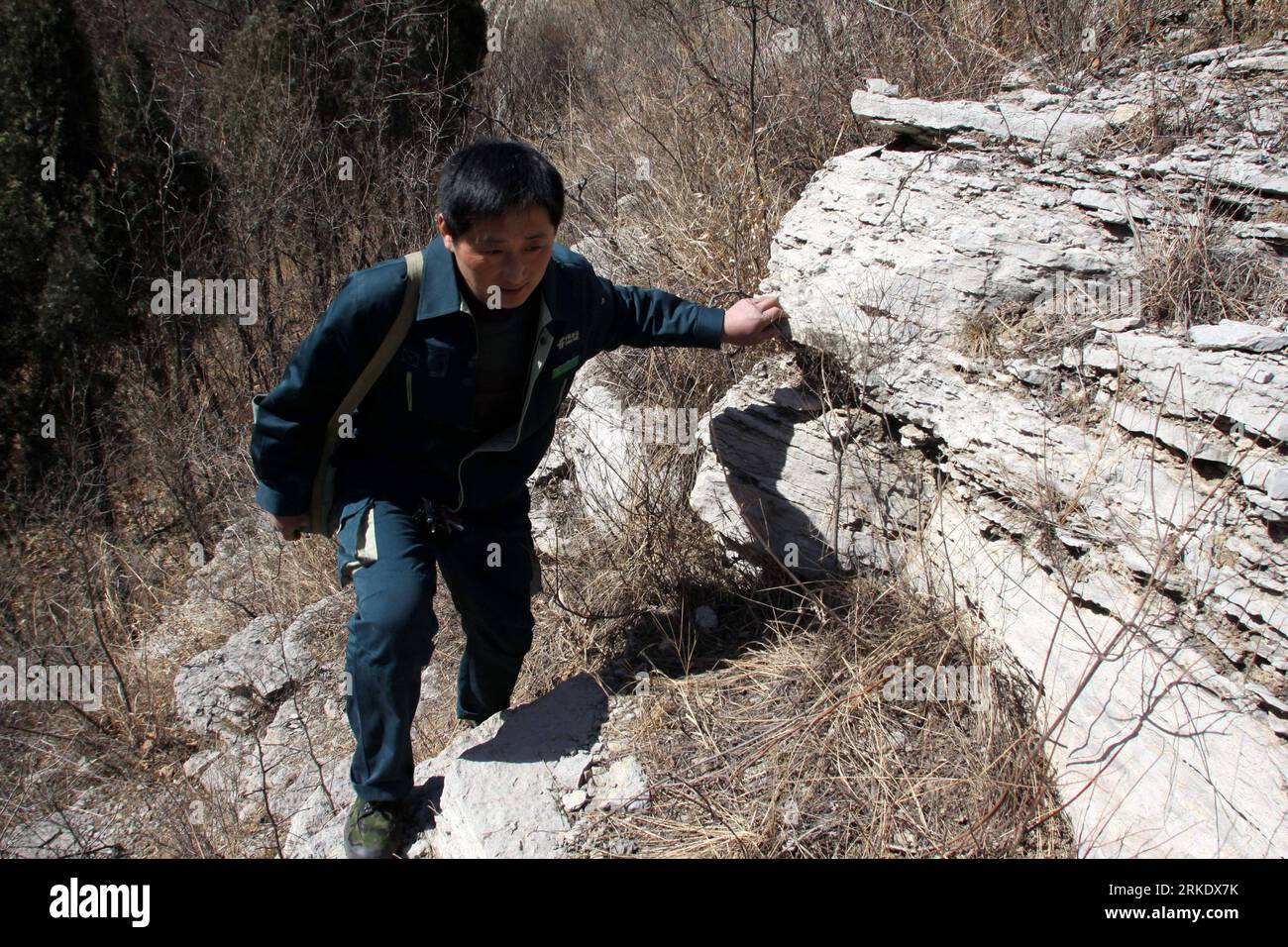 Bildnummer: 55014205  Datum: 09.03.2011  Copyright: imago/Xinhua (110311) -- QINGZHOU, March 11, 2011 (Xinhua) -- Postman Sun Jigang walks on a hill while delivering mails in Qingzhou, east China s Shandong Province, March 9, 2011. Sun walks on a 34-kilometer-long post path in the remote mountainous area every two days to deliver mails for 13 villages along the way. It has been five years since Sun started the job and he is the only postman serving on the path. (Xinhua/Sun Shubao) (hdt)  CHINA-SHANDONG-SUN JIGANG-POSTMAN (CN) PUBLICATIONxNOTxINxCHN Gesellschaft Arbeitswelten Post Briefträger C Stock Photo