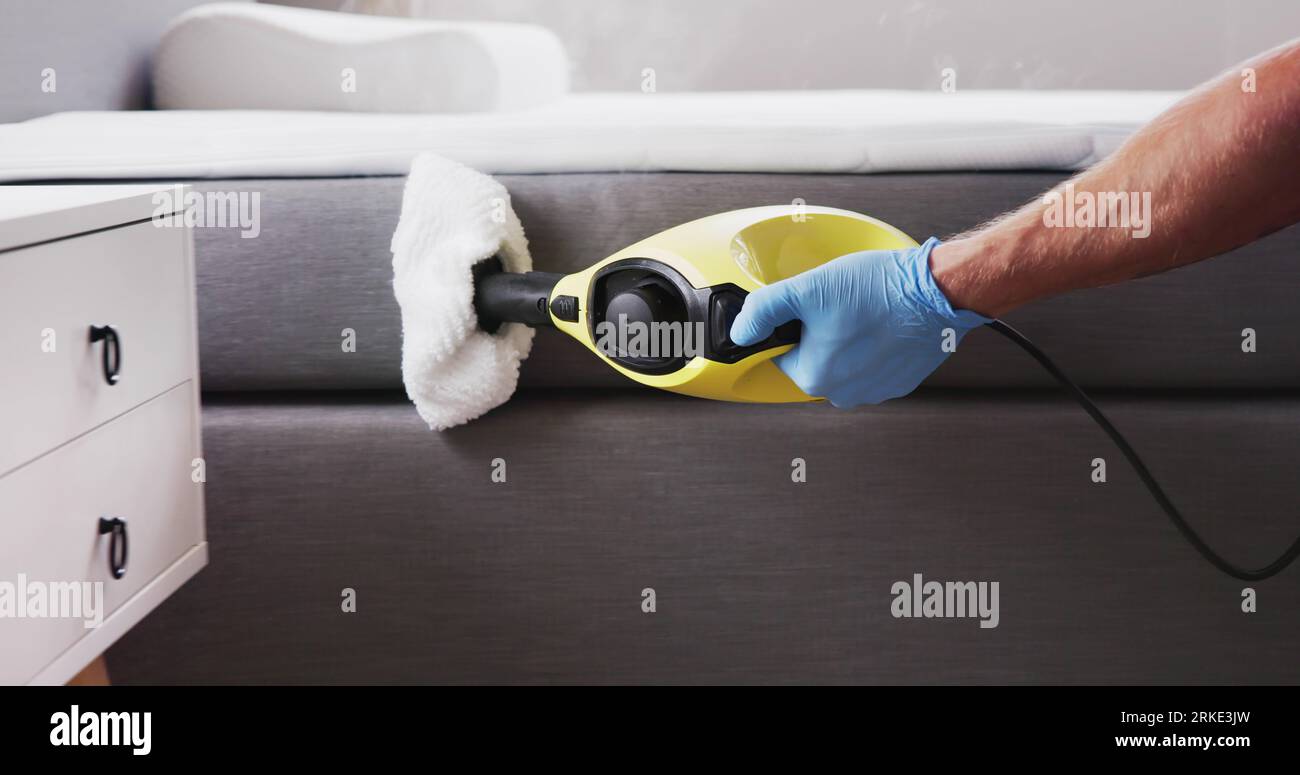 Bed Bug Pest Control Cleaning Using Steam Machine Stock Photo Alamy