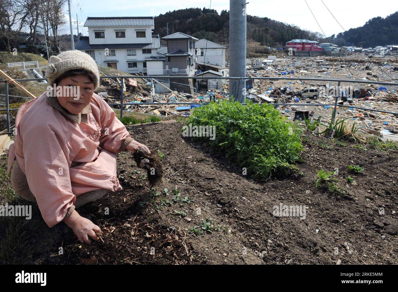 Bildnummer: 55055321  Datum: 23.03.2011  Copyright: imago/Xinhua (110323) -- MIYAGI, March 23, 2011 (Xinhua) -- Tamie Suda, 62, weeds in her garden in Oshikacho of Miyagi prefecture, Japan, March 23, 2011. The Suda family survived from the quake-tsunami, but lost the source of income as the family hotel they run was destroyed. The family members began to rebuild houses although the water, gas and power supplies were cut off at present. (Xinhua/Song Zhenping) (lyi) JAPAN-MIYAGI-DAILY LIFE PUBLICATIONxNOTxINxCHN Gesellschaft Japan Naturkatastrophe Erdbeben Tsunami Schäden Alltag Land Leute Fotos Stock Photo
