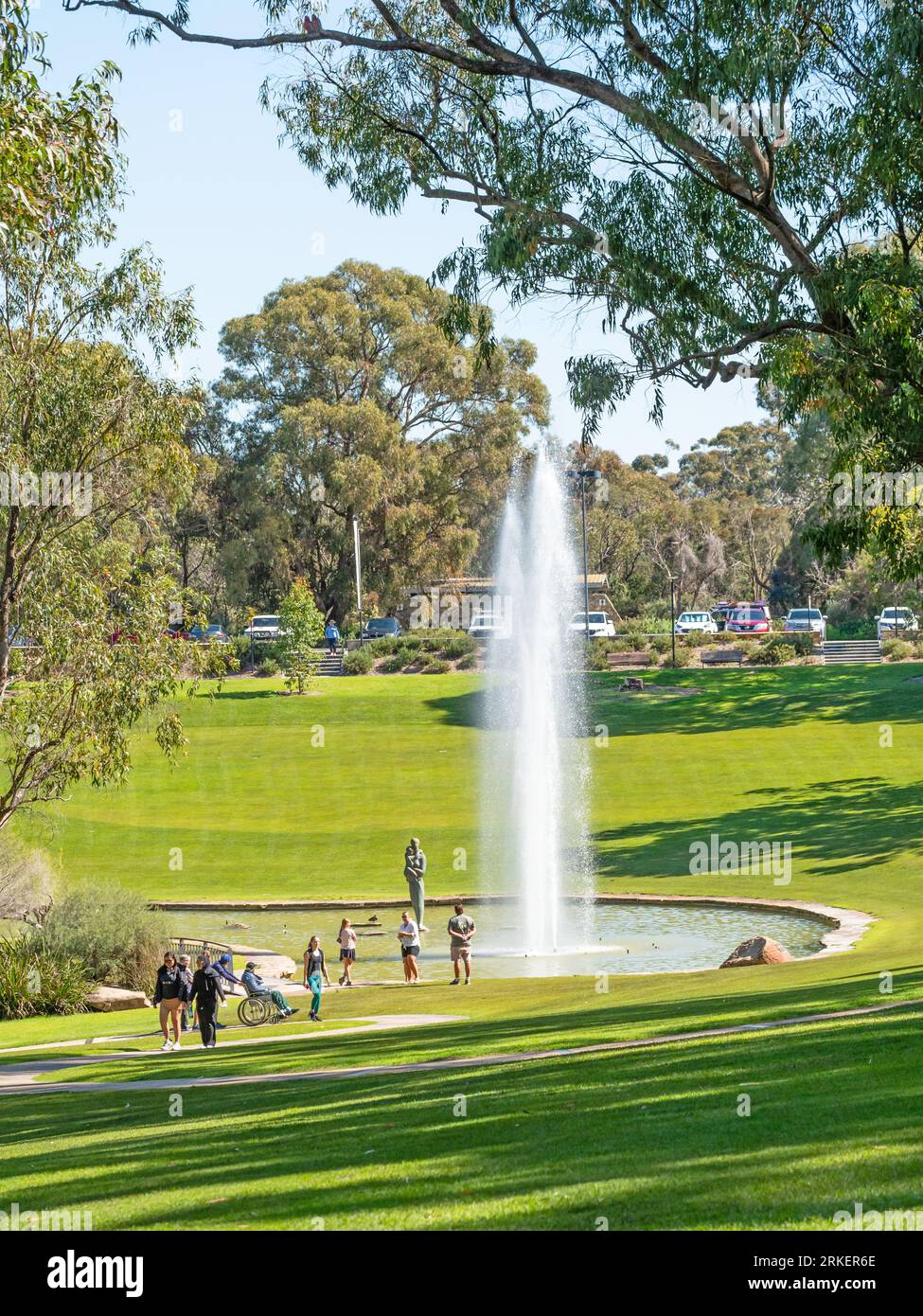 What to see in the western australian botanic garden hires stock