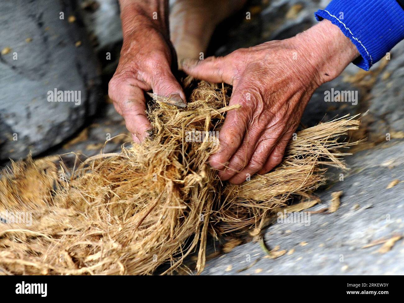 Fibre di fibre hi-res stock photography and images - Alamy