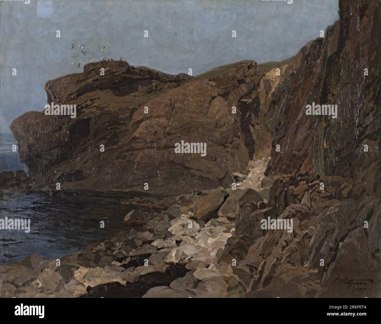 Nordische Felsenk��ste und Seev?gel 1907 by Carl Saltzmann Stock Photo