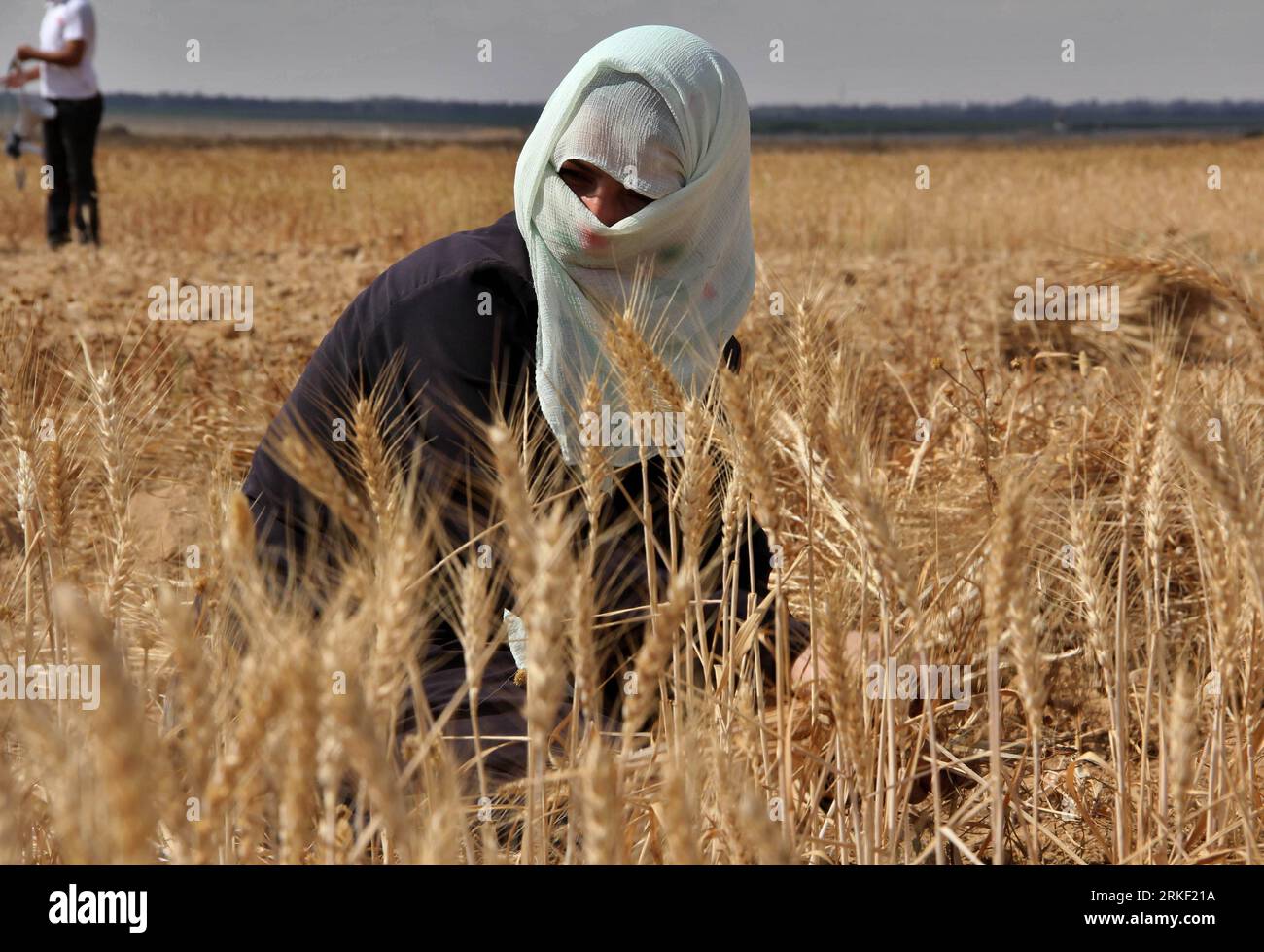 とと Bildnummer: 55325352 Datum: 08.05.2011 Copyright: imago/Xinhua