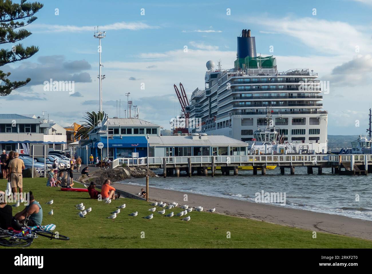 The P & O cruise ship 'Arcadia' in Tauranga Harbour, New Zealand Stock Photo