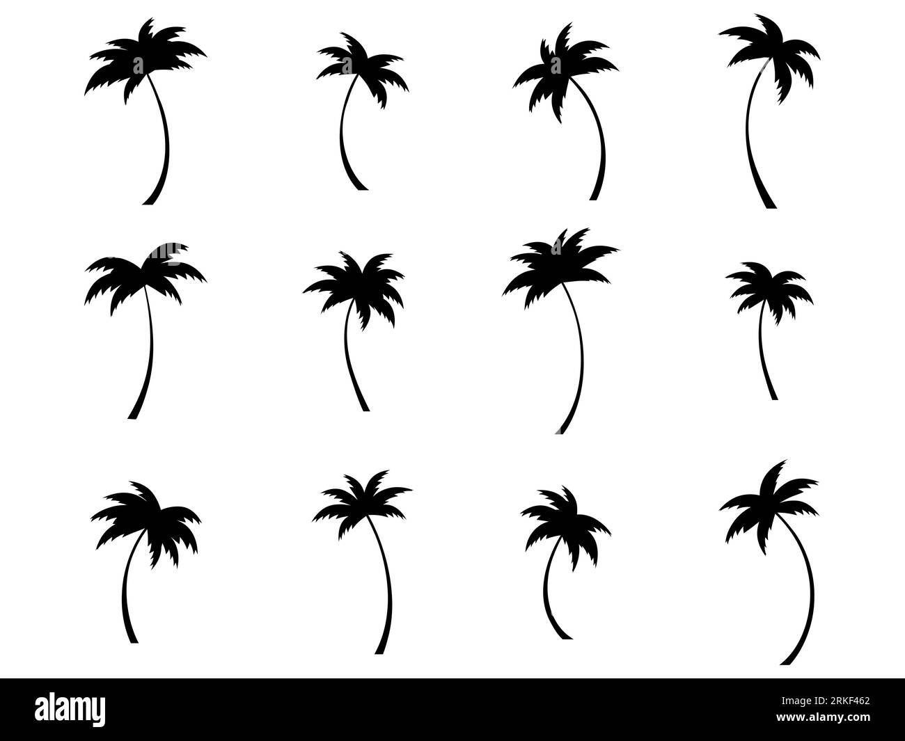 Palm Trees In Hollywood Beach South Florida Vector Image, 51% OFF