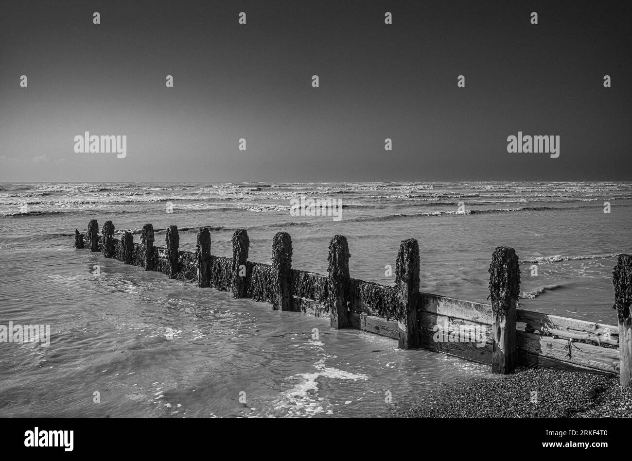 A wooden groyne for sea defence covered in seaweed stretches out into waves rolling in onto the shingle beach at Goring-by-Sea in West Sussex, UK. Stock Photo