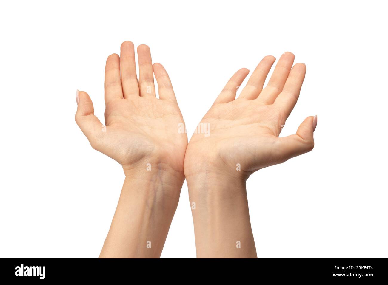Woman hand isolated on a white background Stock Photo - Alamy
