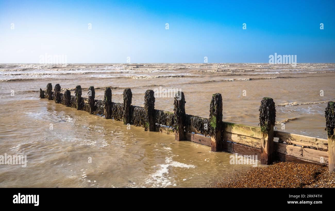 A wooden groyne for sea defence covered in seaweed stretches out into waves rolling in onto the shingle beach at Goring-by-Sea in West Sussex, UK. Stock Photo