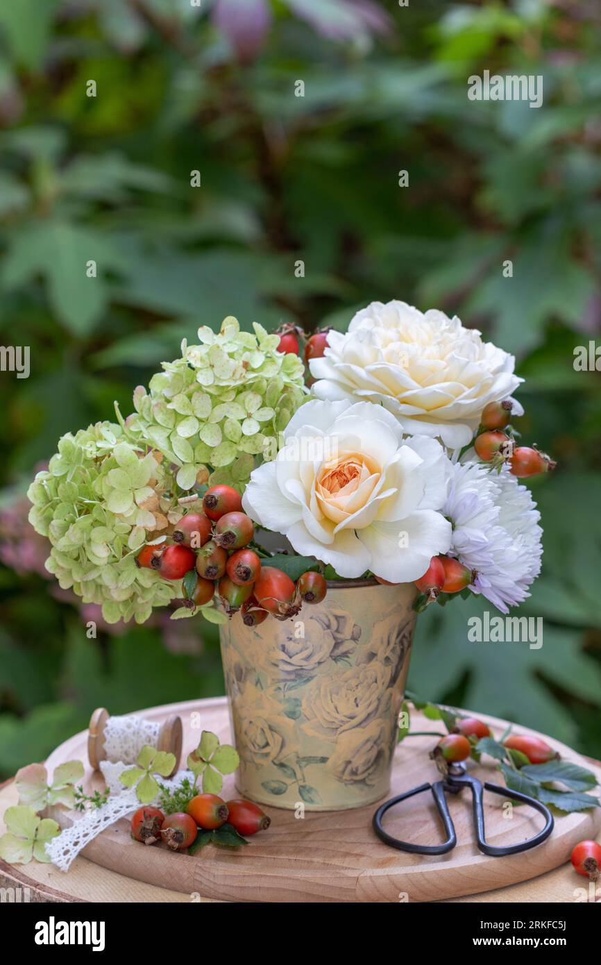bouquet of creamy-white roses, hydrangea flowers and rose hips in vintage milk can Stock Photo