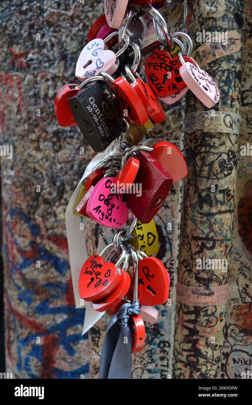 An array of heart-shaped padlocks hanging on a tree alongside other padlocks in a picturesque outdoor setting Stock Photo
