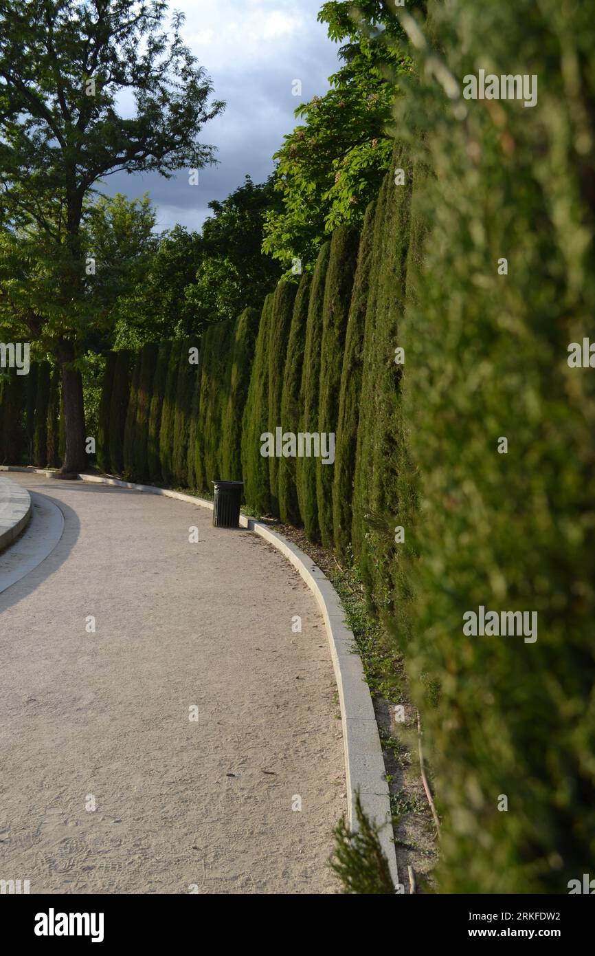 Serene pathway lined dense hi-res stock photography and images - Alamy