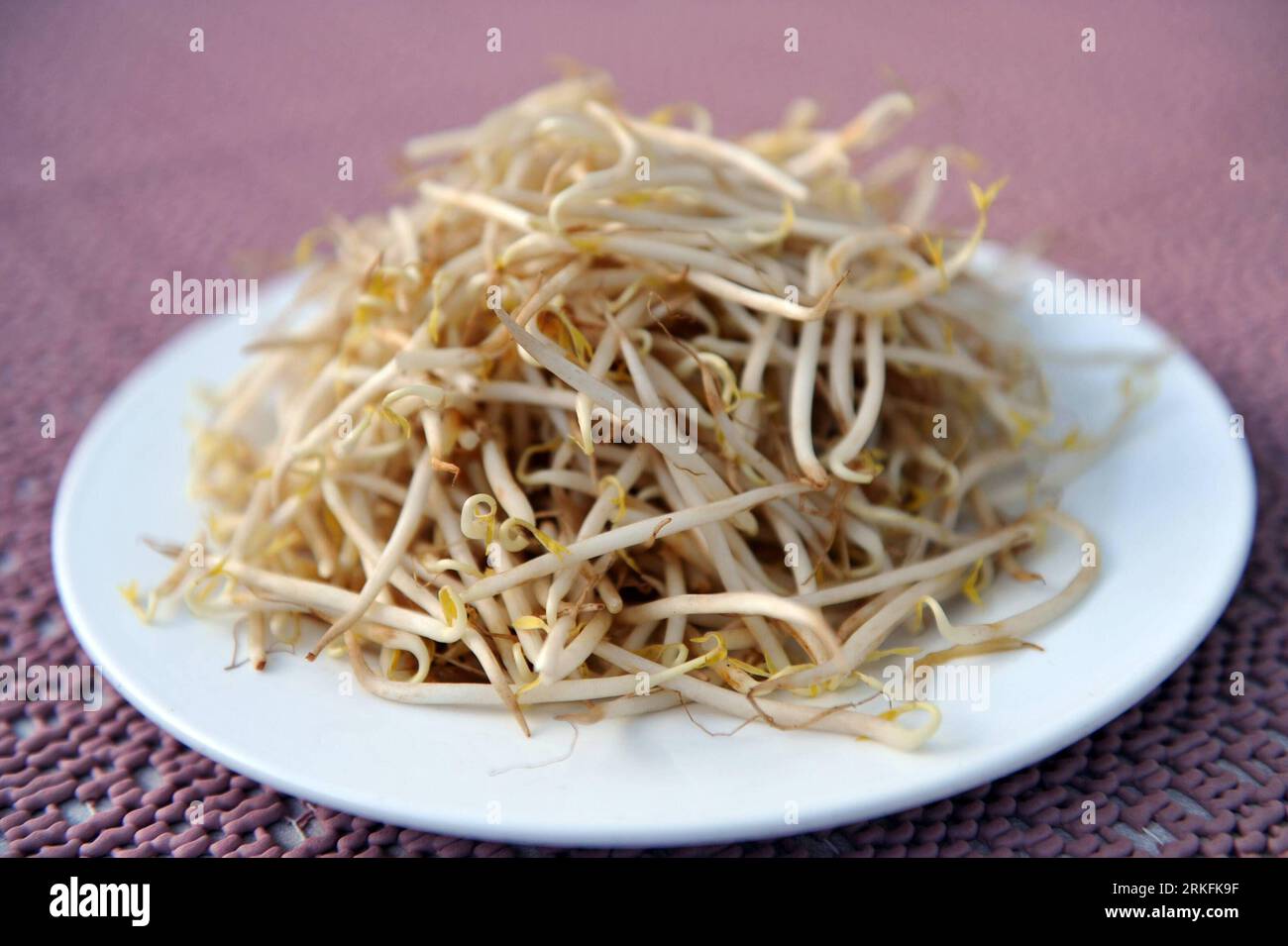 Bildnummer: 55431568  Datum: 05.06.2011  Copyright: imago/Xinhua (110605) -- BERLIN, June 5, 2011 (Xinhua) -- Photo taken on June 5, 2011 shows a plate of bean sprouts at a restaurant in Berlin, capital of Germany. German authority said on Sunday that bean sprouts might be the most convincing source for the E. coli outbreak which has killed 22 and infected more than 2,000 in the Europe. (Xinhua/Ma Ning) GERMANY-E. COLI OUTBREAK-BEAN SPROUTS PUBLICATIONxNOTxINxCHN Food Sprossen xkg 2011 quer  o0 Ehec, Gesundheit,, Bakterien, Keime, Sojasprossen, Salatsprossen    Bildnummer 55431568 Date 05 06 2 Stock Photo