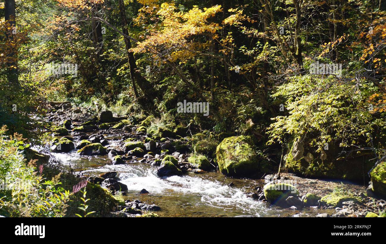 A beautiful landscape featuring a tranquil stream winding its way ...