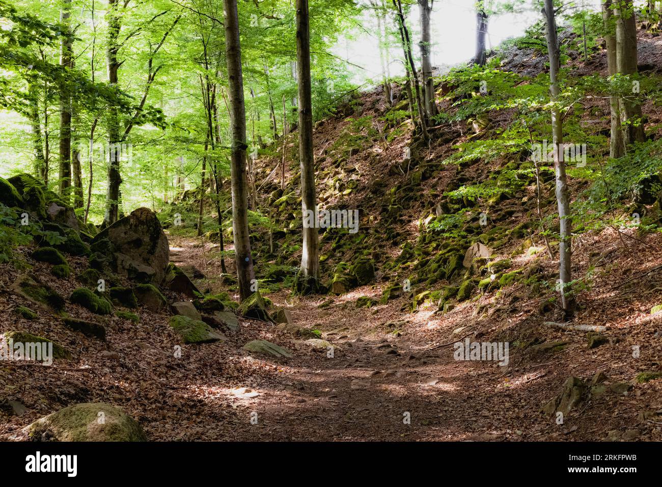 Aerial view scenic serene hi-res stock photography and images - Alamy