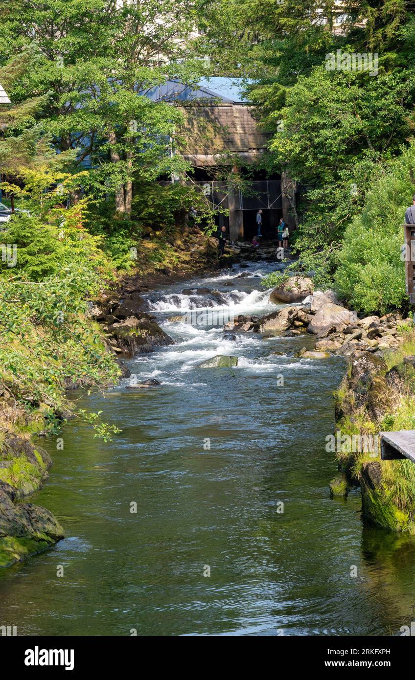 A tranquil body of water winds its way through a lush forest: Alaska