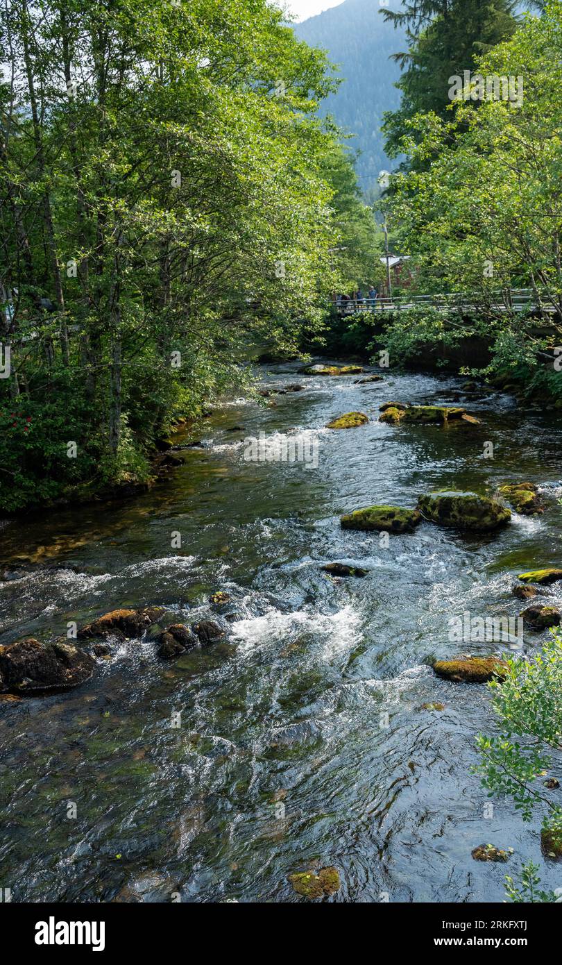 An idyllic outdoor scene featuring a peaceful body of water surrounded