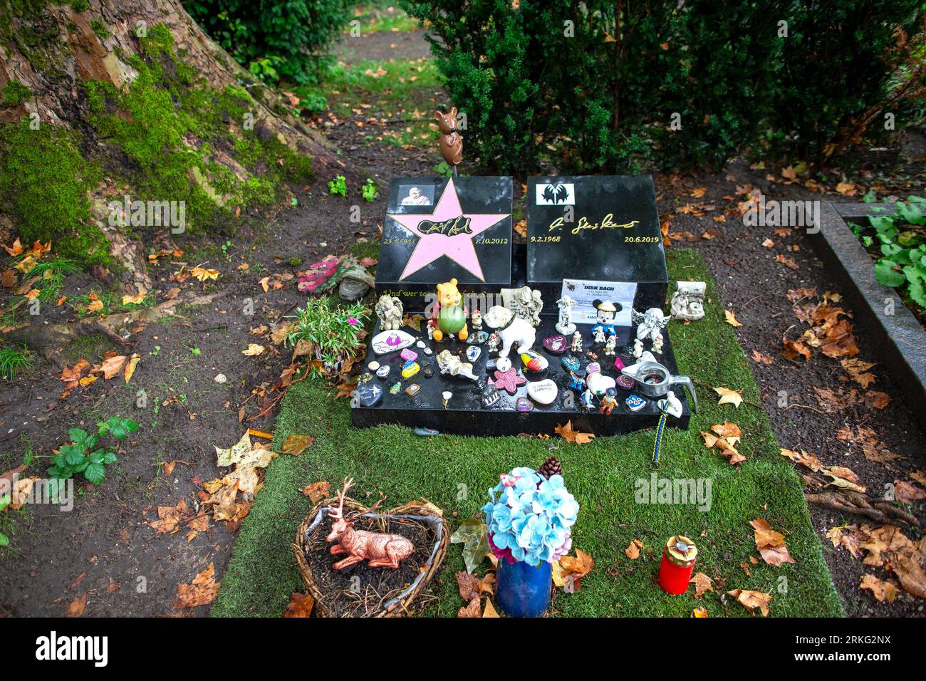 Cologne, Germany. 25th Aug, 2023. View of comedian Dirk Bach's grave at Melaten Cemetery, from which the pink bench has been stolen. Credit: Thomas Banneyer/dpa/Alamy Live News Stock Photo
