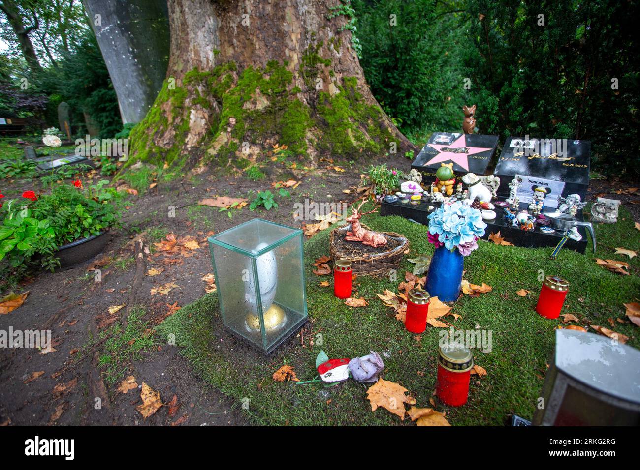 Cologne, Germany. 25th Aug, 2023. View of comedian Dirk Bach's grave at Melaten Cemetery, from which the pink bench has been stolen. Credit: Thomas Banneyer/dpa/Alamy Live News Stock Photo