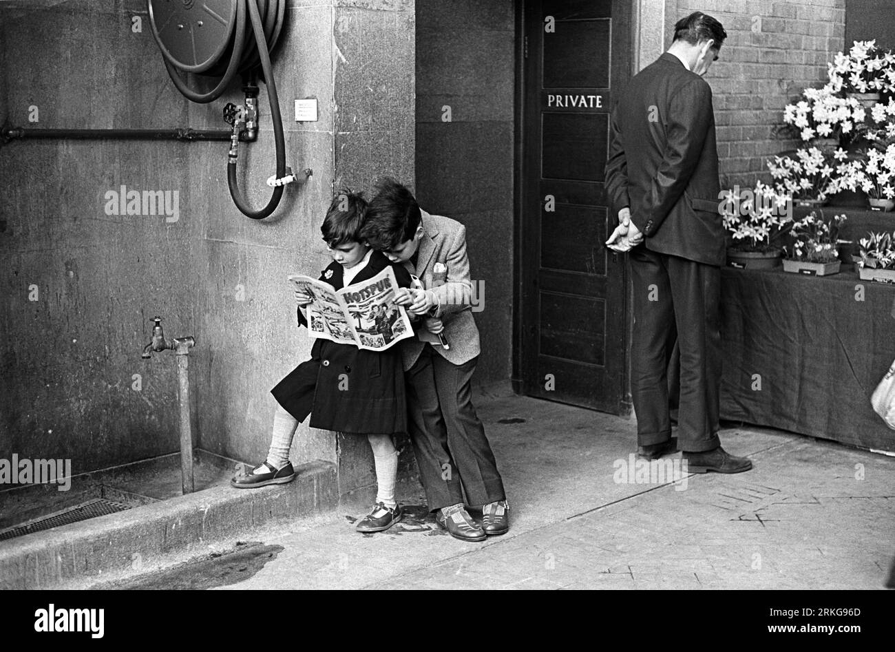 Children Reading Comic 1960s UK. Engrossed in The Hotspur comic, sibling brothers in their best out of prep school clothes. They are wearing Clarks sandals, a blue gabardine mackintosh, and a tweed jacket with pocket handkerchief, with short and long grey trousers. They show no interest in the display that their father admires at the Royal Horticultural Society Annual Flower Show. Westminster, London, England circa May 1968. HOMER SYKES Stock Photo