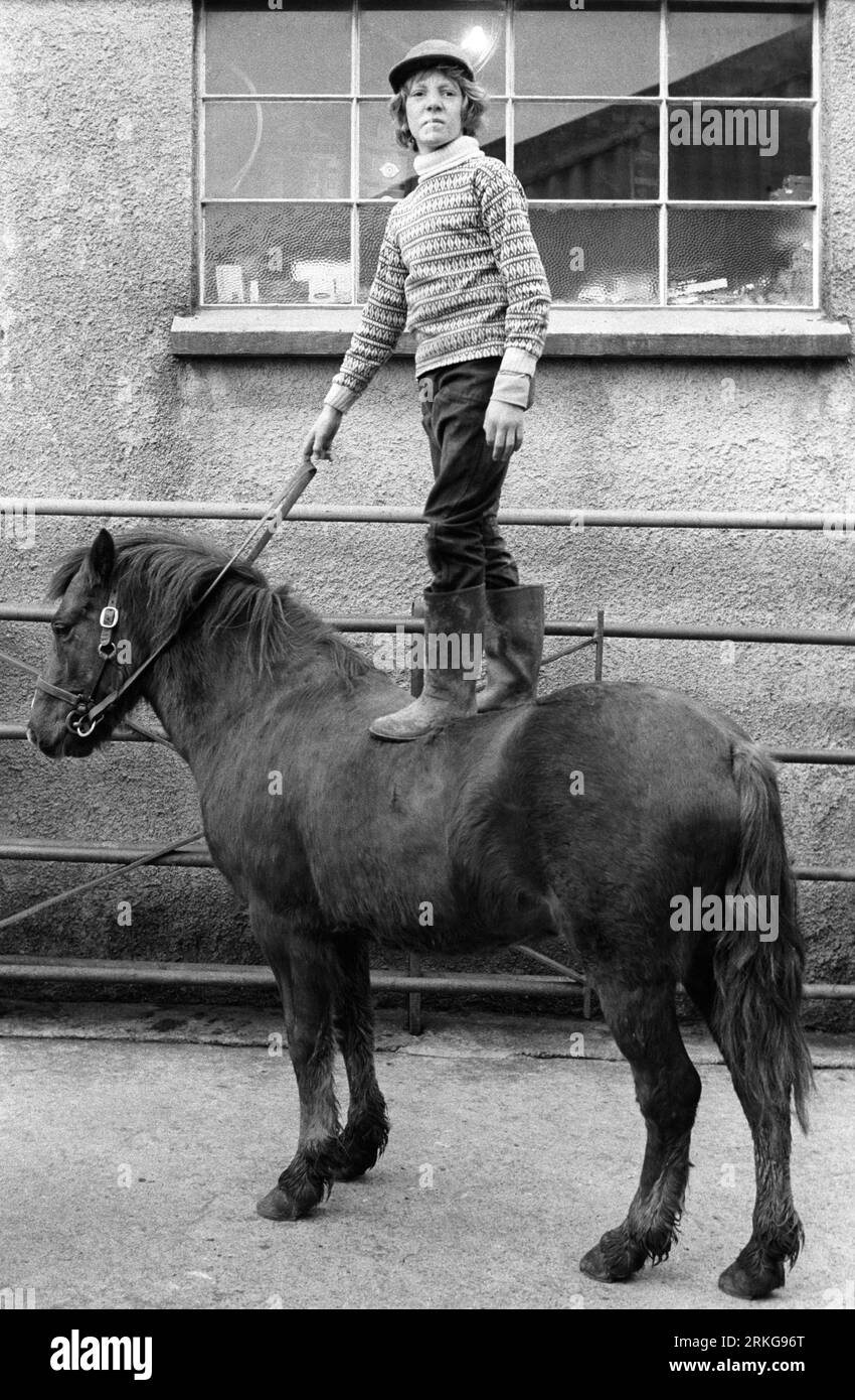 Annual Horse Sale 1970s West Country Uk. Sale and auction a teenage boy stands on the back of a pony that will be auctioned off. A perfect family pony perhaps? Hatherleigh, Devon, England circa November 1973. HOMER SYKES Stock Photo