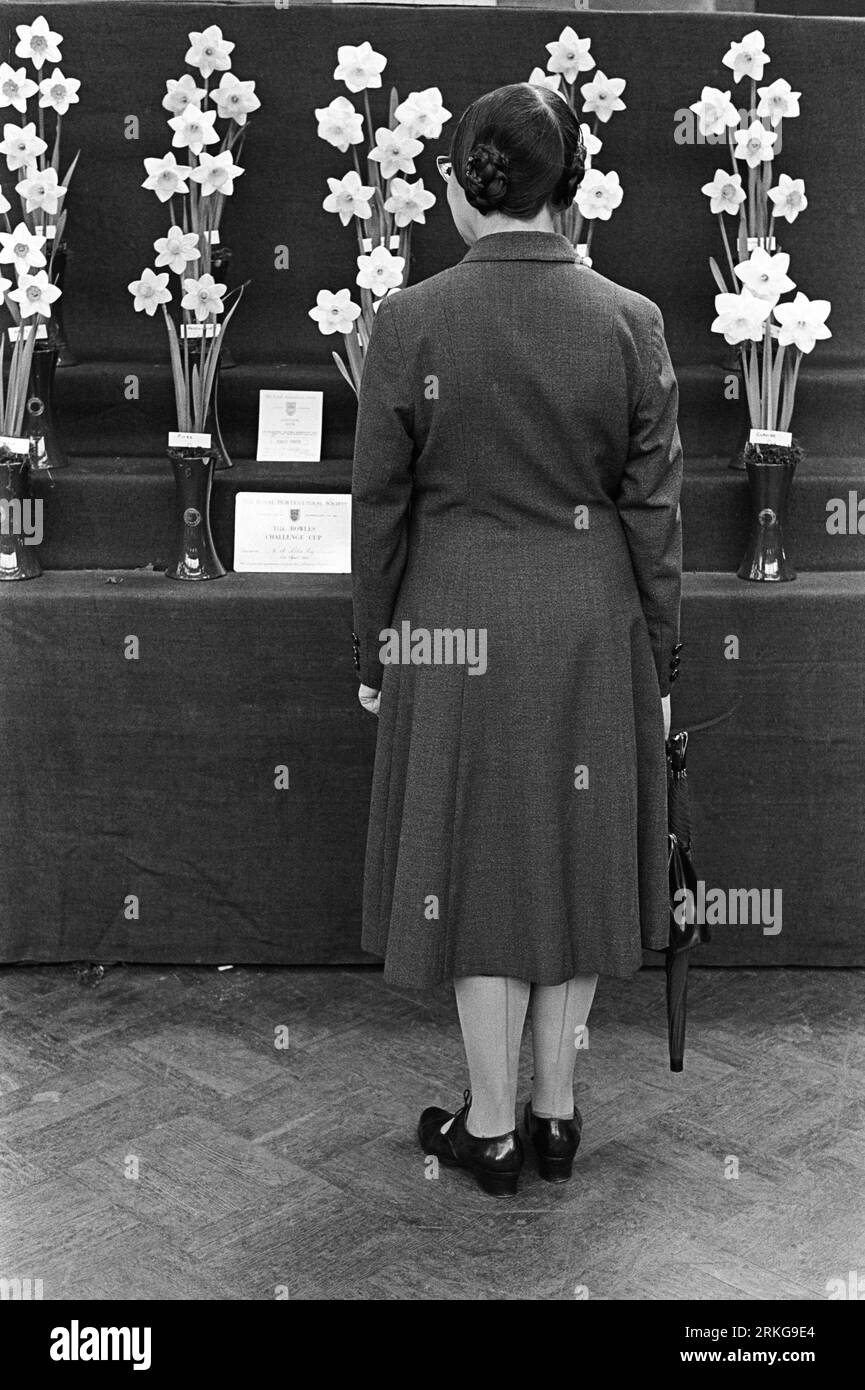 Flower Show 1960s UK. The Royal Horticultural Society flower show,  a prim and proper older middle aged woman with an umbrella contemplates the prize-winning Narcissi. Westminster, London, England circa May 1968. HOMER SYKES Stock Photo