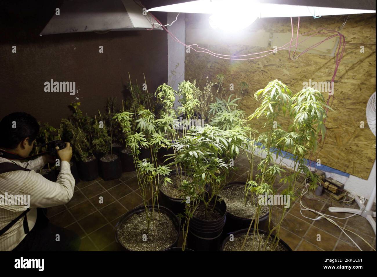 Marijuana tech hi-res stock photography and images - Alamy